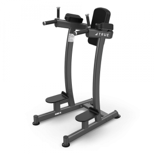 Xfw-6400 Vertical Knee Raise/Dip