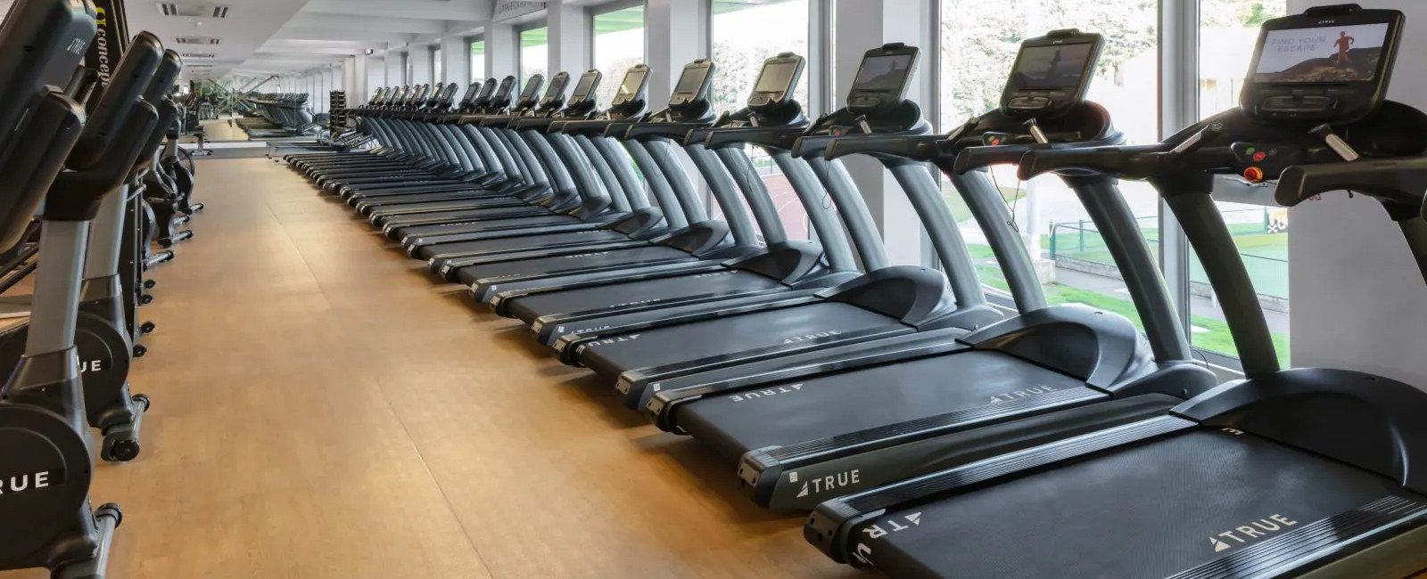 a long row of treadmills