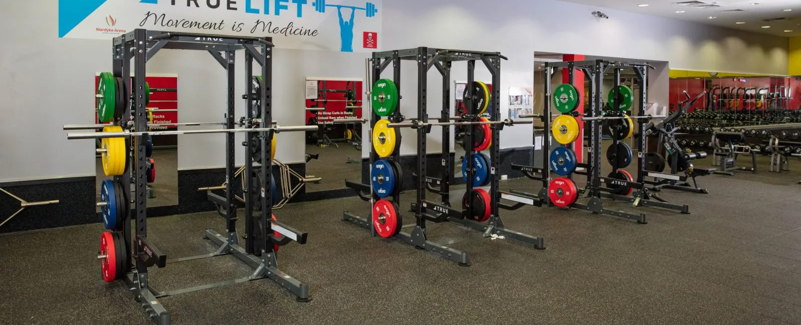 free weight gym machines with colourful weight plates
