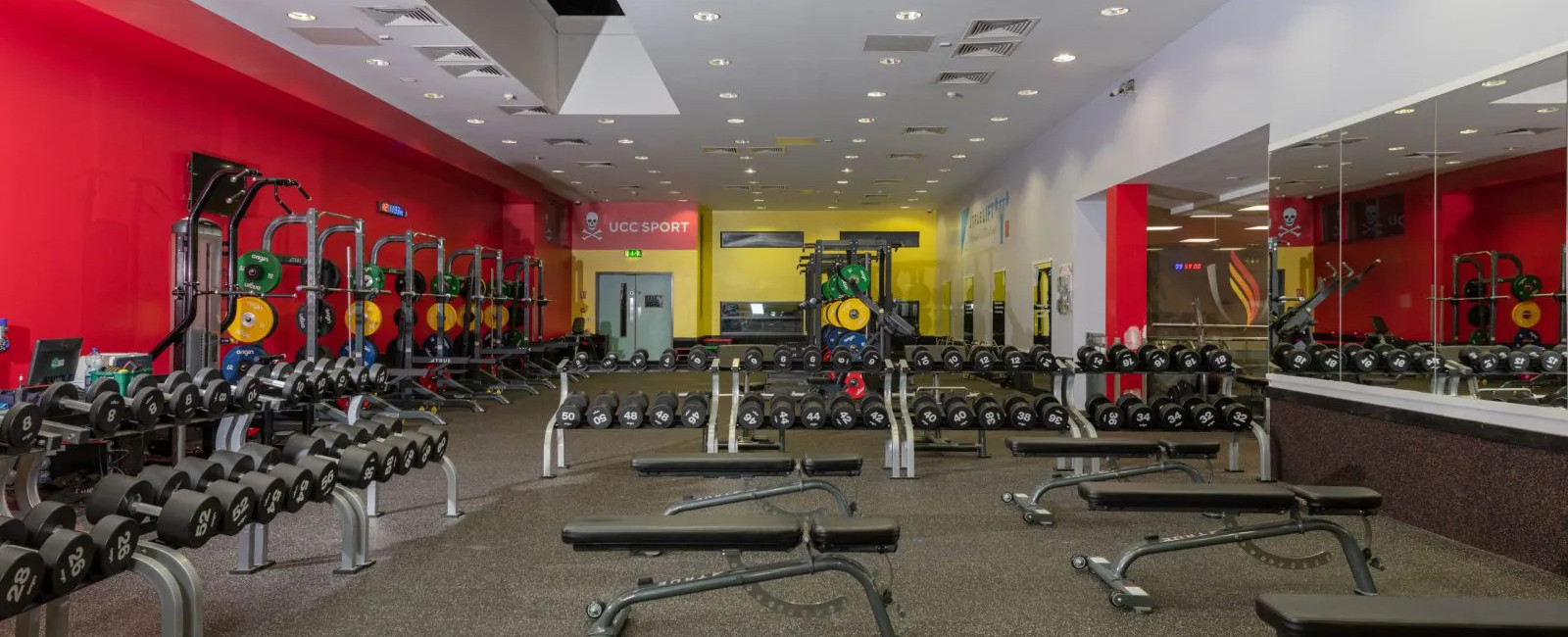 weights and benches in a commercial gym