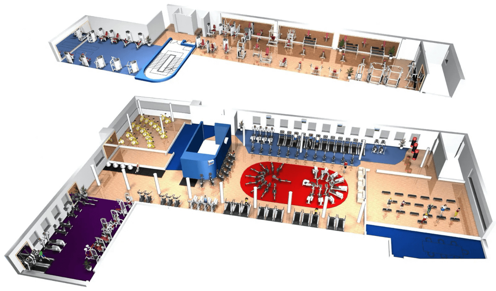 CAD design of westpark gym floor
